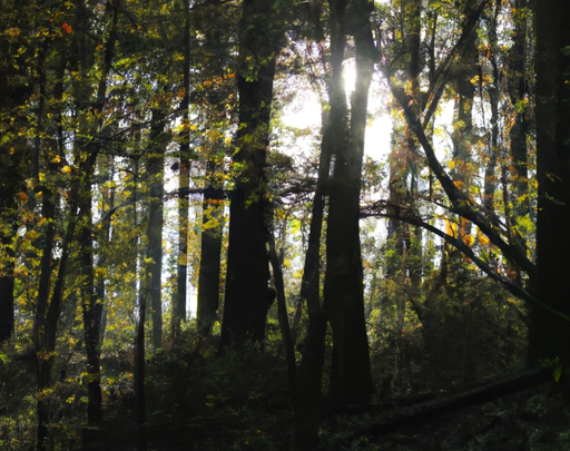 Træfældning Privat Roskilde: En Guide til Sikker og Effektiv Træfældning