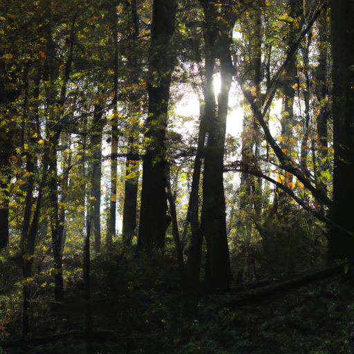 Træfældning Privat Roskilde: En Guide til Sikker og Effektiv Træfældning